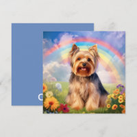Yorkshire Terrier Rainbow Bridge Yorkie Sympathie