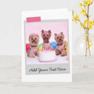 Carte Yorkshire Terriers Yorkies Gâteau d'anniversaire d