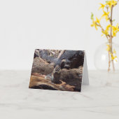 Carte Yosemite au printemps :  Un ami velu (Fleur jaune)