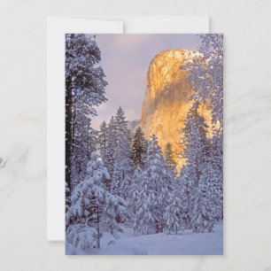 Carte Yosemite - EL Capitan allumé par lumière du sole