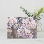 Carte Yoshino Cherry (Debout devant)