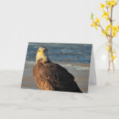 Carte Young Bald Eagle on the Beach Birthday Card (Fleur jaune)