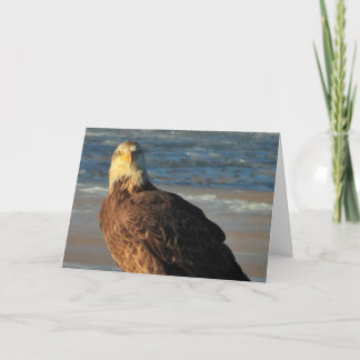 Carte Young Bald Eagle on the Beach Birthday Card