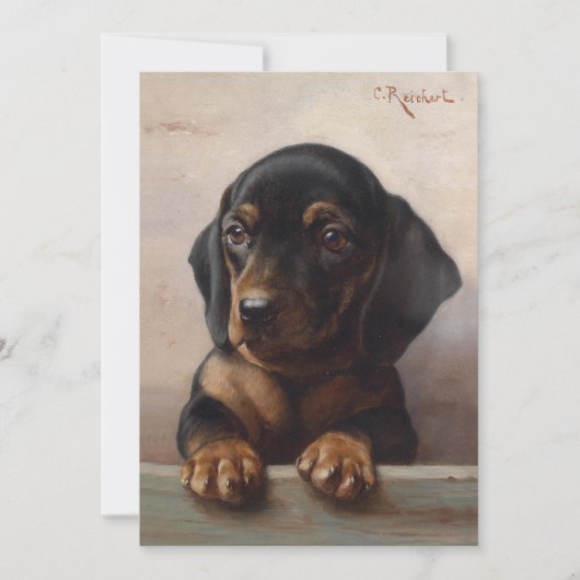 Carte Young Dachshund | Carl Reichert (Devant)
