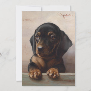 Carte Young Dachshund   Carl Reichert