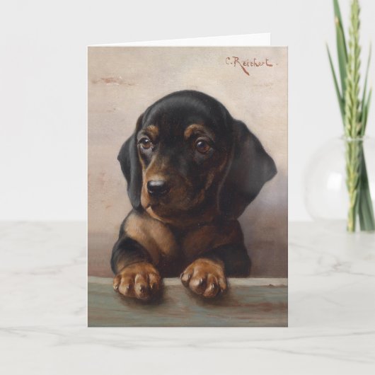 Carte Young Dachshund | Carl Reichert (Devant)