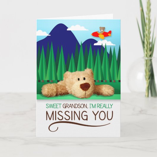 Carte Young Grandson Missing You Avion et Teddy Bear (Devant)