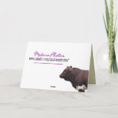 Carte Young Pinzgauer Bull-customize (Dos)