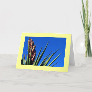 Carte "Yucca #1"