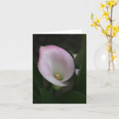Carte Zantedeschia (Fleur jaune)