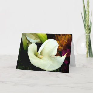 Carte Zantedeschia élégant