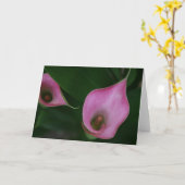 Carte Zantedeschia rose (Fleur jaune)