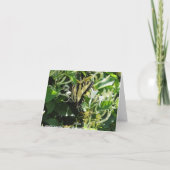 Carte Zebra Swallowtail sur Honeysuckl (Dos)