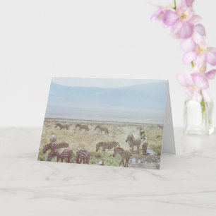 Carte Zebra Wild Birthday Wings