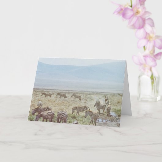 Carte Zebra Wild Birthday Wings (Orchidée)