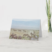 Carte Zebra Wild Birthday Wings (Devant)