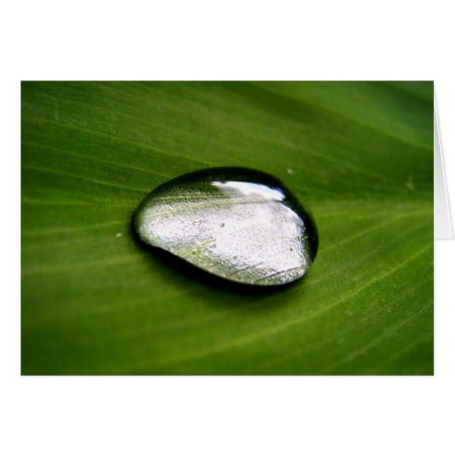 Carte Zen Rain Drop (Devant horizontal)