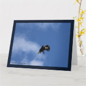 Carte Zeroing in on the Catch (Fleur jaune)