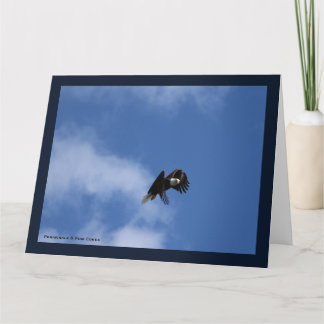 Carte Zeroing in on the Catch