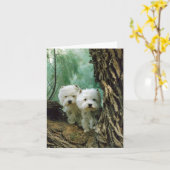 Carte Zest et Donna (Mère et Fille Prendre 2) (Fleur jaune)