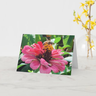 Carte Zinnia Honey Bee