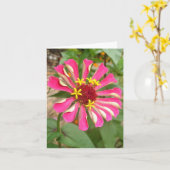 Carte Zinnia multicolore (Fleur jaune)