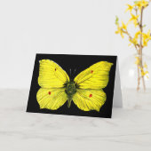 Carte Zitronenfalter (Fleur jaune)