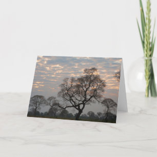 Carte Zones humides du Pantanal   Amérique du Sud, Brési