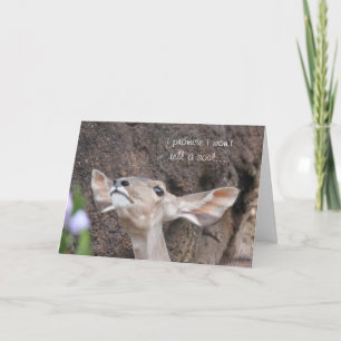 Carte zoo cards