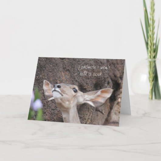 Carte zoo cards (Devant)