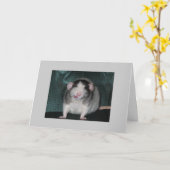 Carte Zorro (Fleur jaune)