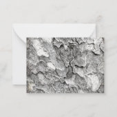 Cartes (Dos)
