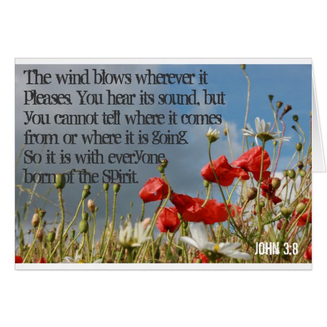 Cartes - 3:8 de John (Devant horizontal)