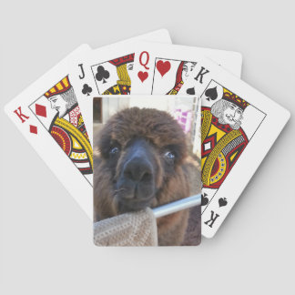 Cartes à jouer Alpaca