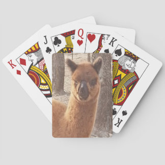 Cartes à jouer Alpaca