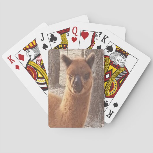 Cartes à jouer Alpaca (dos)