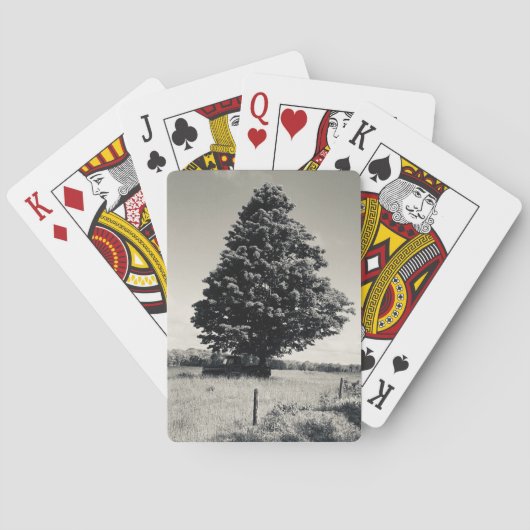 cartes à jouer arbre (dos)