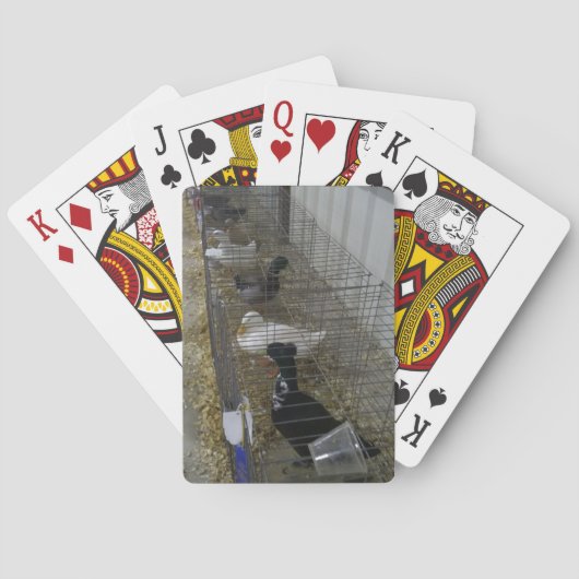 Cartes à jouer au canard (dos)