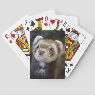 Cartes à jouer au furet