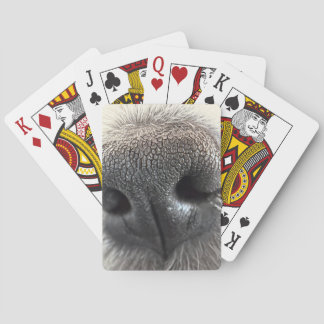 Cartes à jouer au nez de chiot irrésistible