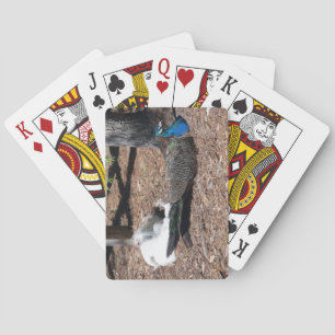 Cartes à jouer avec des faisans indiens bleus et b