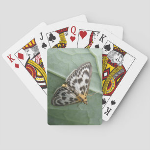 Cartes à jouer avec le petit papillon de nuit