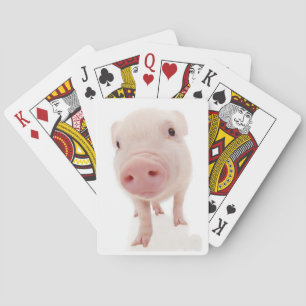 Cartes à jouer avec un petit cochon rose