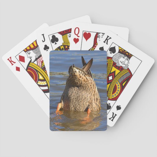 Cartes à jouer Bottoms Up (dos)