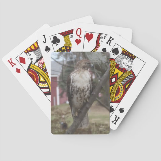 Cartes à jouer Buse à queue rousse (dos)