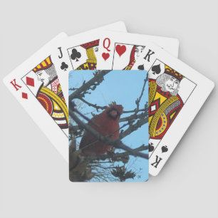 Cartes à jouer Cardinal