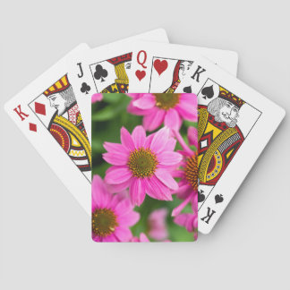 Cartes à jouer classiques avec Echinacea pourpre