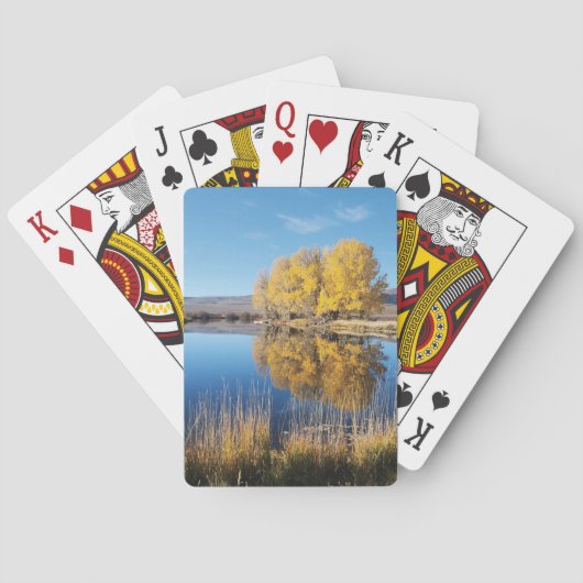 Cartes à jouer de Mirror Pond (dos)