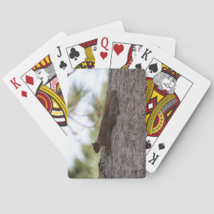 Cartes à jouer Écureuil à l'envers