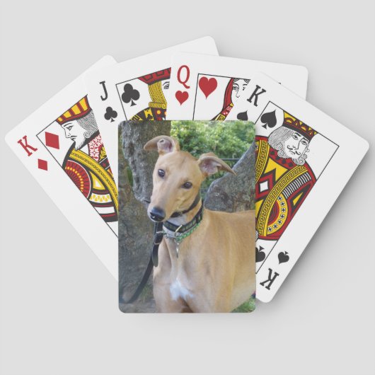 Cartes à jouer Greyhound (5) (dos)